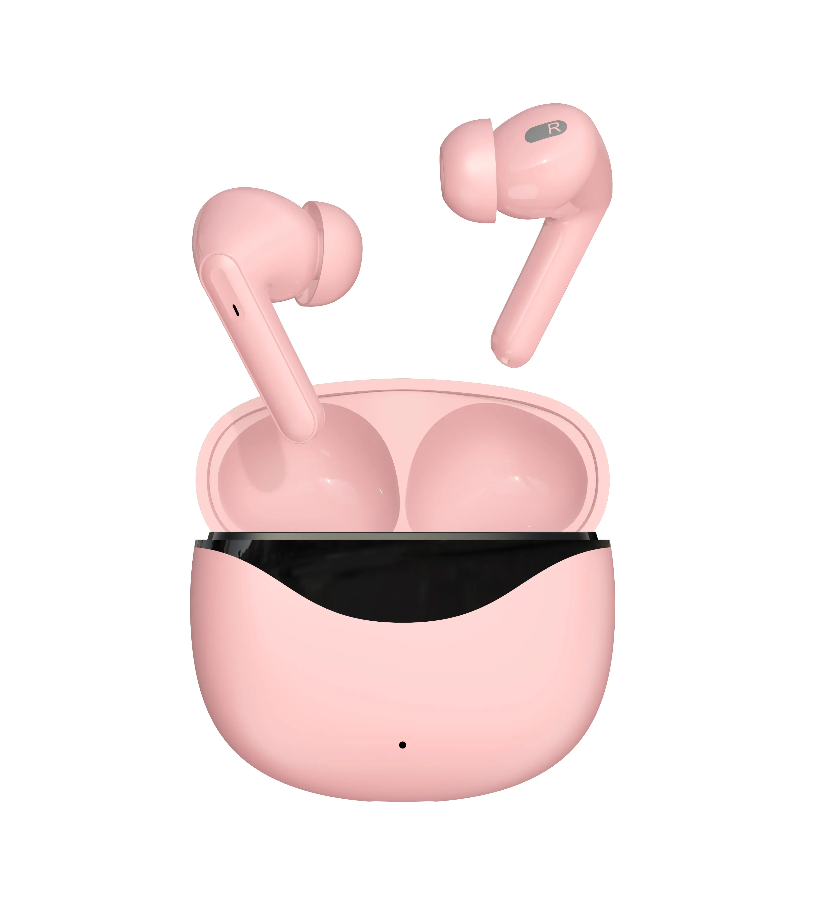 Custom Earphones